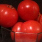 Sub Arctic Maxi Tomato - A very early producing bush type plant that does not need pruning. 2 to 3