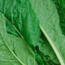 Mustard Greens
