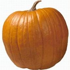 Jack o Lantern Pumpkin