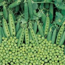 Peas - Tall Telephone