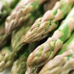 Asparagus - These tasty spears are the sweetest treat. The flavour will leave your taste buds wondering if what you ate was actually a vegetable.
It is not like store-bought asparagus. Not even close. Asparagus forced grown that then ripens as it is shipped loses its actual sweet flavour. Initial cultivation takes at least 3 years before the plant is established. Asparagus fern is also extremely popular as it is cultivated for the fern-like foliage it produces and is used as a popular cut flower filler, especially in roses. So if a few spears go too far and become tough and leggy. Stake it up and let asparagus finish their life cycle, which will include dropping its ripe red berries into the ground and increasing your crop in the coming years. - Click for more details!
