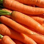 Carrots - Danver Half long - Tasty tapering semi blunted ends. Very suitable for home gardeners needs. Easy to grow. Carrots thrive when planted near lettuce, chives, leeks, rosemary, sage, peas and wormwood. - Click for more details!