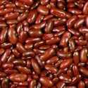 Beans - Kidney - Provides an excellent yield of dark red kidney-shaped beans that are tasty in Chili and Mexican foods. Beans are a great source of iron and magnesium. Easy to Grow!! - Click for more details!