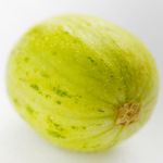 Cucumber Lemon - A plentiful producer of crunch 2.5 to 3 inch, non-bitter but sweet and mild-tasting fruit. Lemon Cucumbers are best harvested at a lemon size, just as the skin begins to change to a yellow colour. They can also be pickled when fully ripe Excellent salad toppers and firm enough for decorative garnishes. - Click for more details!