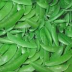 Peas - Homesteader - Introduced in 1908 this dwarf variety produces vines 18 to 30 inches high loaded with lots of easy to pick 2 to 3-inch pods, with 6 to 9 peas per pod. These are heat tolerant and wilt resistant. Peas are a valuable source of vitamin C, A and fibre. Harvest before peas fully enlarges for best results. For successive crops, plant at 2 to 3-week intervals until mid-spring. - Click for more details!