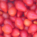 Red Pear Cherry Tomato - Delightfully firm, pear-shaped cherry tomato. Great for Salsa, fresh eating, garnishes and slicing for salads. Very sweet, mild flavour. Very prolific and tasty. - Click for more details!