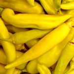 Pepper - Banana - Sweet Banana pepper produces lots of sweet crunchy bright yellow peppers 4 to 6 inch long fruits. Great for fresh picking, jams, relishes and even pizza. - Click for more details!