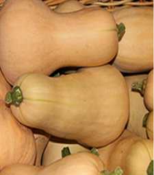 Squash